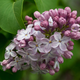 Image for article titled Shooting Challenge: Focus Stacking Gallery